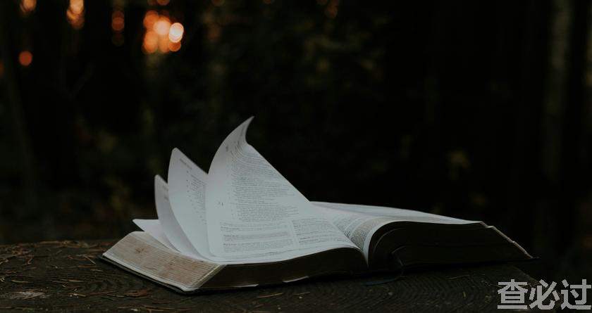 查必过,查必过官网,免费论文查重,免费论文检测,免费论文修改