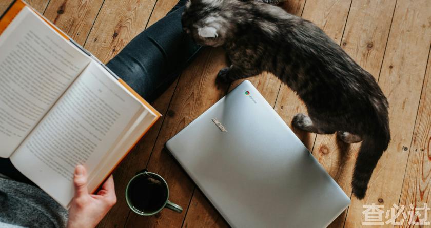 查必过,查必过官网,免费论文查重,免费论文检测,免费论文修改